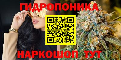 мдпв Усть-Илимск