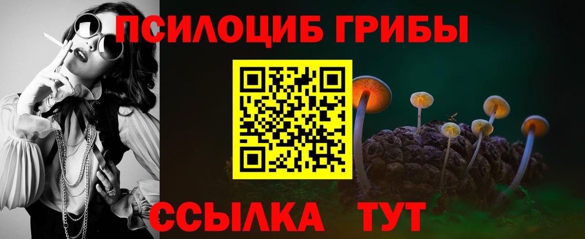 Галлюциногенные грибы Psilocybine cubensis  Вход с VPN  Бахчисарай  Псилоцибиновые грибы мицелий 